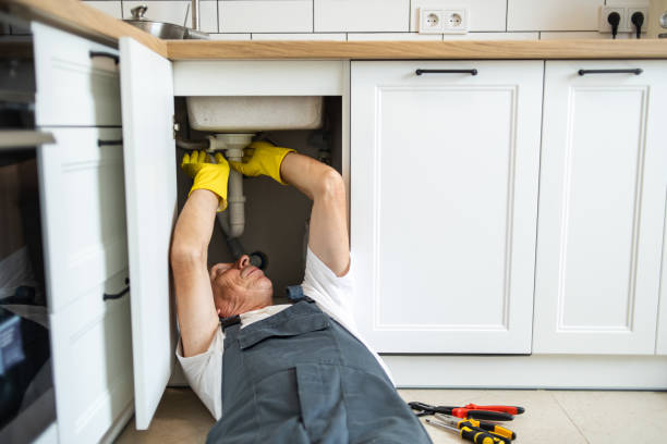Best Local Plumber Services  in Mango, FL