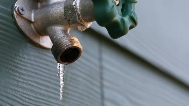 Best Plumbing Inspection Services  in Mango, FL